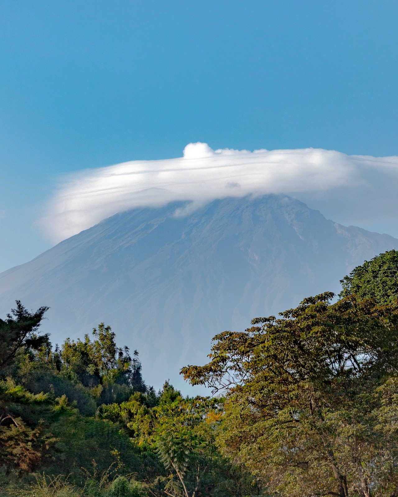 A mountain peak crowned by a flat lenticular cloud above green forest